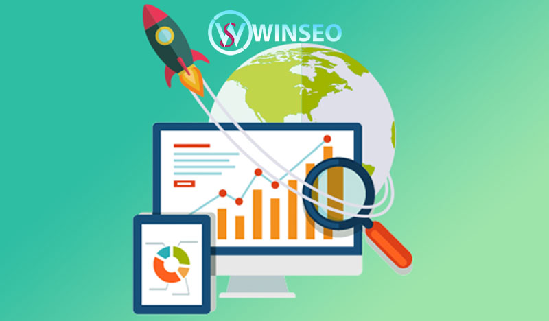 Kết luận về Organic Search