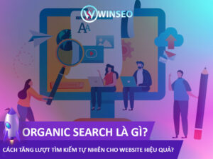 Organic Search là gì? Cách tăng lượt tìm kiếm tự nhiên cho Website hiệu quả?