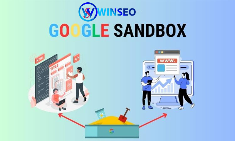 Thuật toán Google Sandbox được phát hiện khi nào?