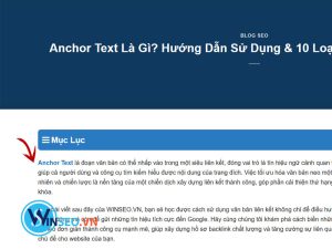 Anchor Text là gì?