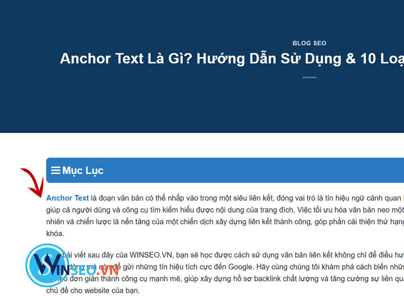 Anchor Text là gì?