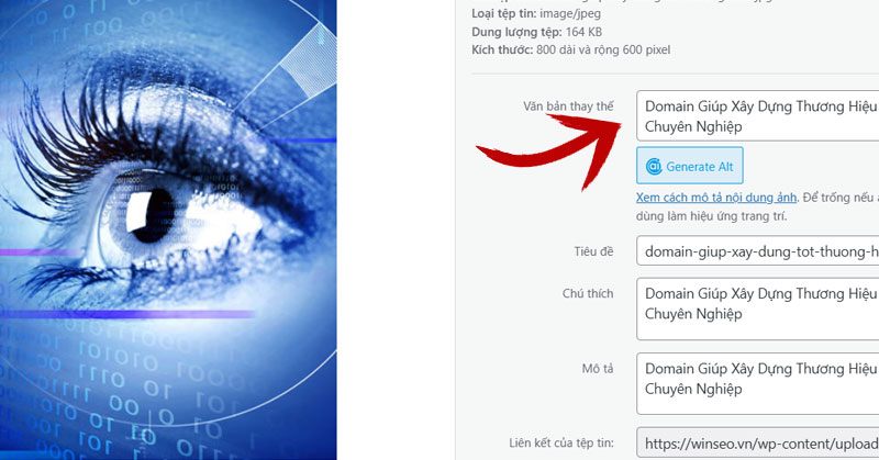 Cách thêm Alt Text cho hình ảnh  trên web WordPress